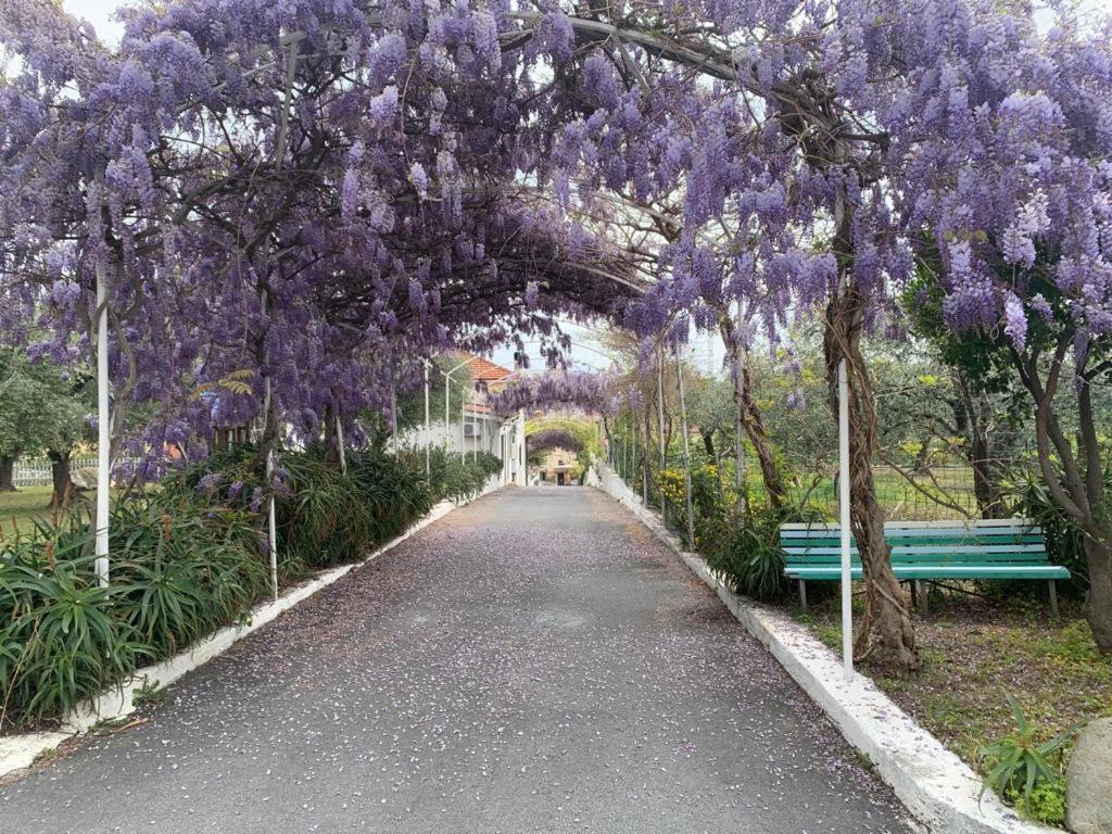 Al Borgo Village Pietra Ligure Extérieur photo